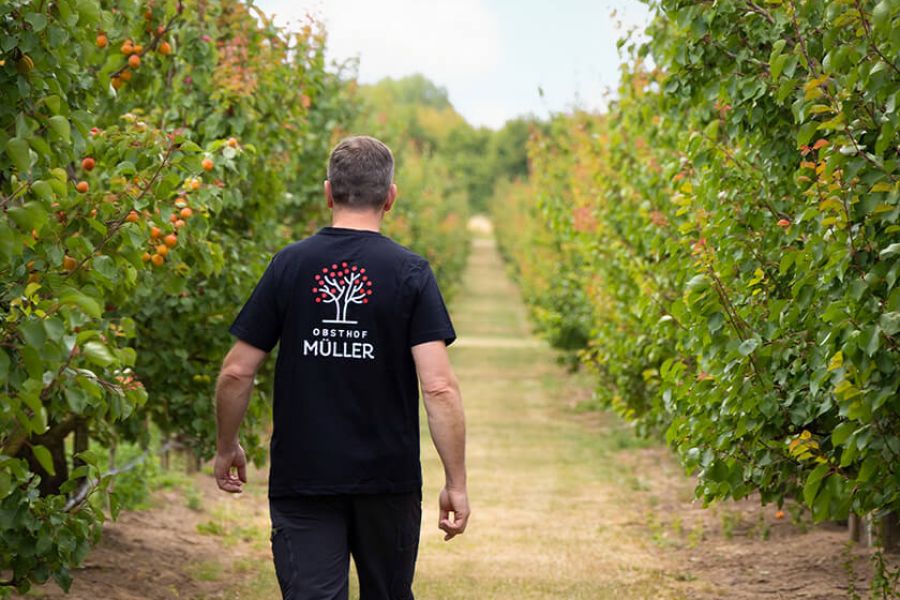 Alexander Müller läuft durch seine Obstplantage in Querfurt