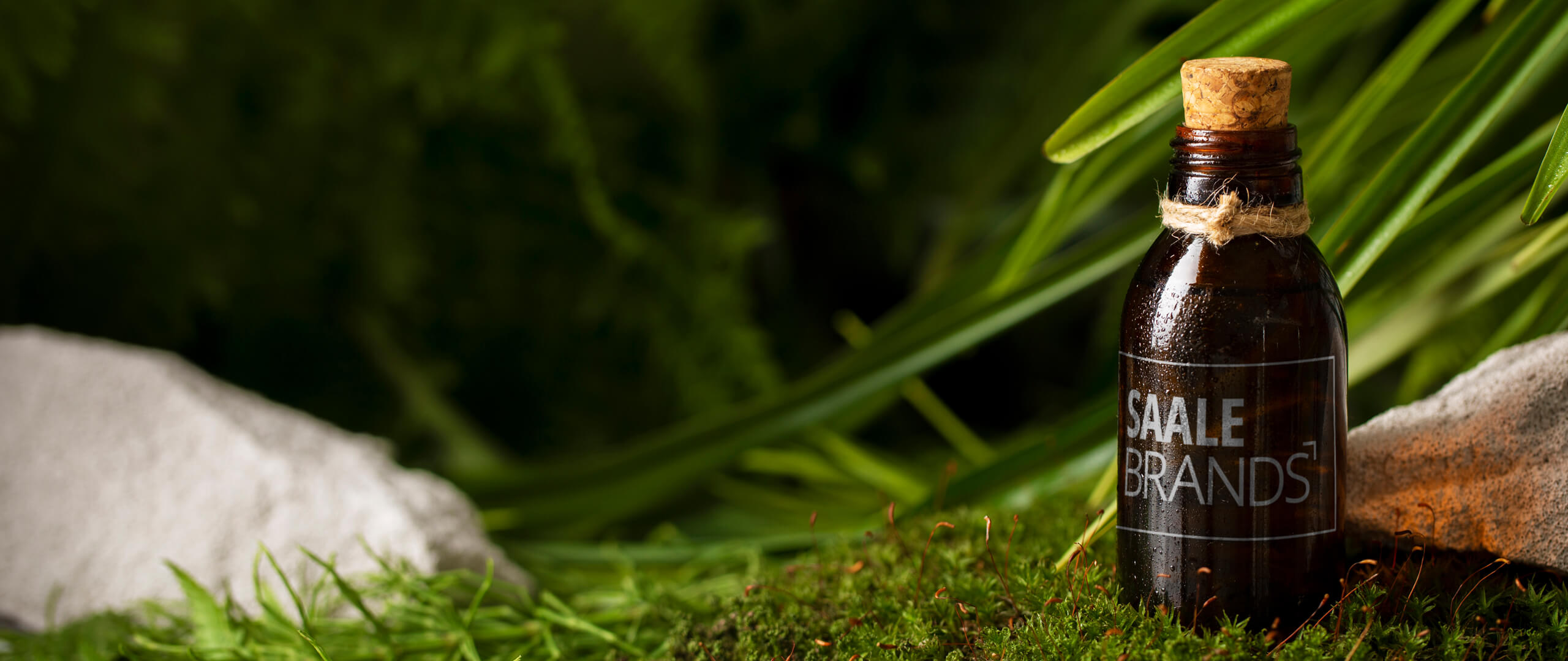 SAALEBRANDS Kreativagentur - Grafik mit Logo