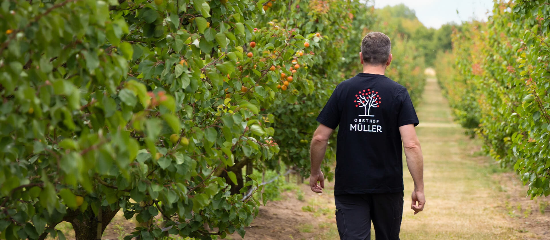 Alexander Müller läuft durch seine Obstplantage in Querfurt