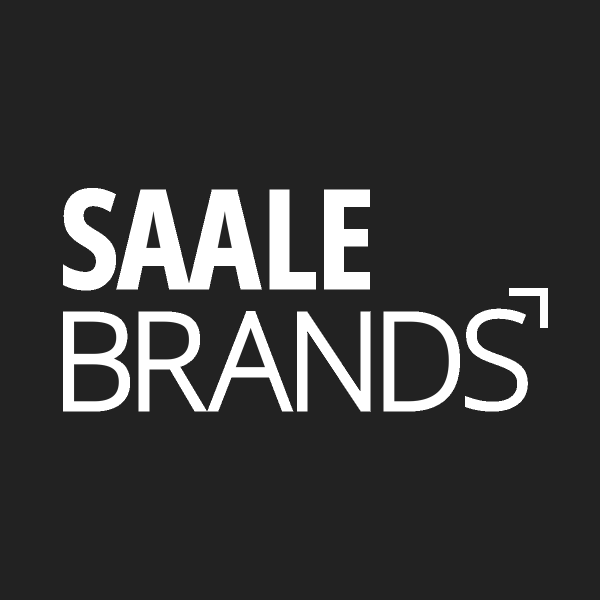 Full-Service-Agentur für das Altenburger Land: SAALEBRANDS