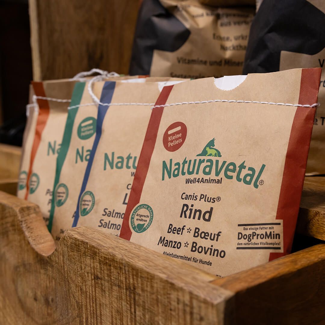 Natürliches Trockenfutter, Schleckerschnauze in Naumburg, Foto von SAALEBRANDS